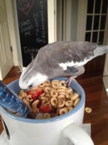 Boy does this look scrumptious - I'll just dig right in!