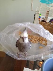 Fan photo, check. Let the assault begin!