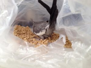 I'm about to work my magic.