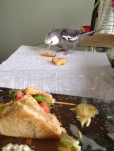 Oh boy oh boy - I remember this tasty dish!