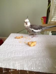 Mom? A little service here?