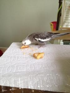 I'll take it from here, Mom - thanks for delivering my dinner.