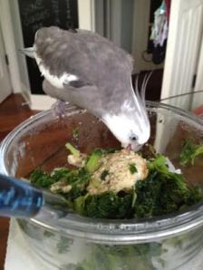 Yes this is quite tasty, and also it seems to be a very passive dish, so it is easy to ingest.