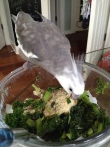 I'll just sample some.