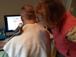 Once you have the attention of the featherless being who oversees your meals, you can begin to offer your expertise.