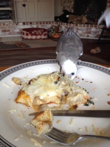 Enthusiastic dining can give the chef confidence and let her know what dishes she should make frequently.