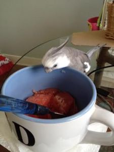 Oh. Well. Not Cheerios. Okay. Time to investigate.