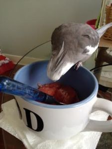 Let me just climb up to get a better look.