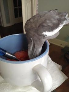 First just a small nibble....