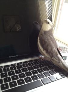 Another even lovelier being - I'll give it my most lavish greeting!