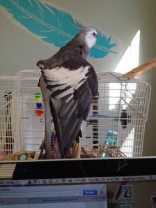 Stretching out your muscles beforehand gets you all limber for grooming.