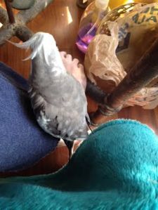 Here is a nice sheer surface where I can enjoy some "free climbing."