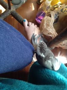 An expert free climber uses the resources at hand to execute complicated maneuvers.