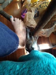 Very complicated maneuvers.