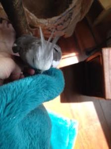 Okay, well if you insist, Mom.