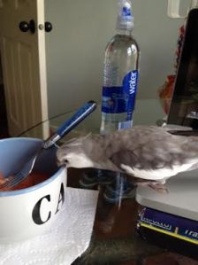 Luckily this rest stop has victuals too.