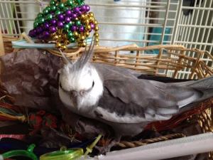 Yup - I knew I recognized that tell-tale shine.