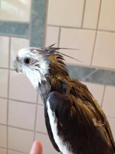 Yes, that's good - I look very pretty from that side (and all the sides).