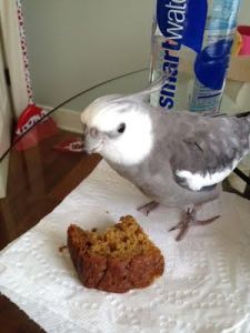 I don't know what this is, but I might want it. I'd better stake my claim.