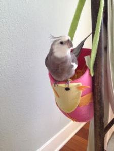 Choosing yourself as the "home staging model" can get the showing off to a great start.