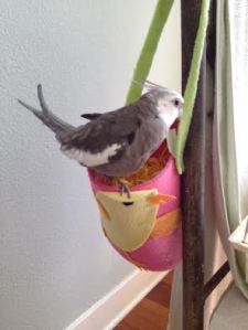 You can walk prospective occupants through the process step by step.