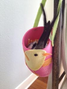 Once the lady birds see you are willing to escort them inside personally, they will be eager to accept.