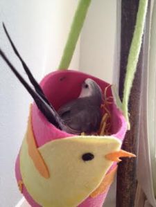 Once inside, you can show them how comfortable and roomy the property is.