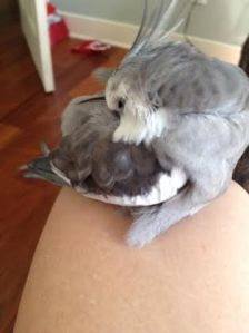 She is very dense. She is not getting the hint at all.