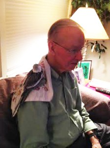 Now I'll work my way back to my equally pretty grey and white wings. The Tall Tree is an excellent guard so I can take my time.