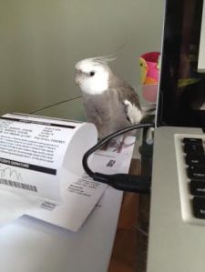 Demonstrating "glaring."