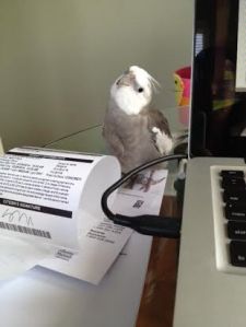 Demonstrating the tactic of "Who Me?"