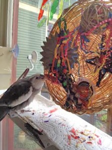 Shredding the toy with your sharp beak is a good way to let others know it is yours.