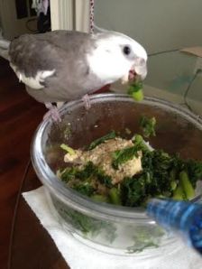 Once I show it who is boss, I can enjoy my meal in peace.