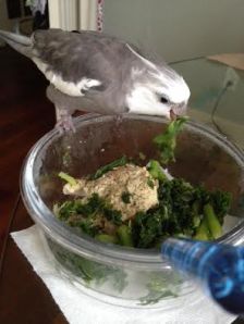 To most people this dish might appear quite passive, but I know differently.