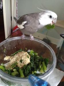 This is where my natural skill at "manhandling" really comes in handy.