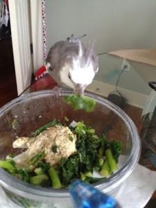 Oh boy! Mom made one of my favorites - steamed houseplant!