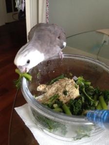 If you give it an inch, it will take a mile.