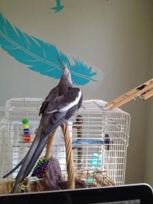 Begin to unfurl your mighty wings.