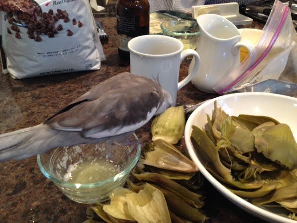 I've never seen this dish before - it must be here so I can rate it for the other diners!