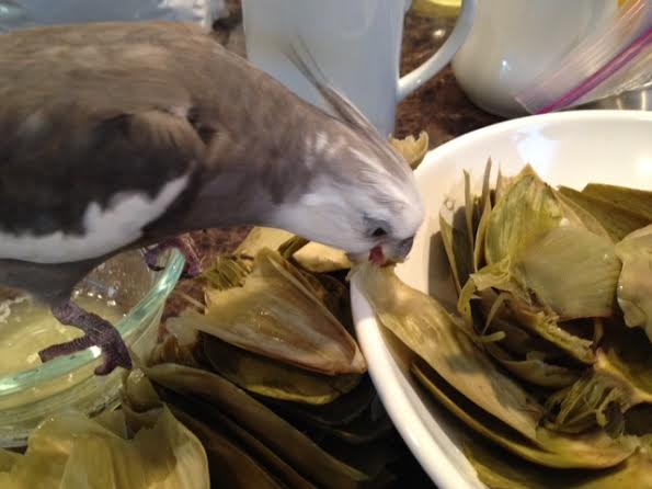 I'll just take one more small taste before delivering my rating.