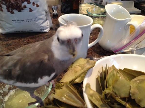 Why yes, Mom, I was about to give it five stars. Why do you ask?