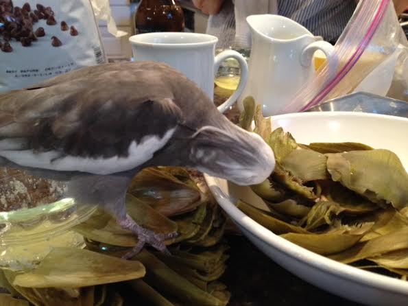 It has a lovely soft green color - always a good sign.