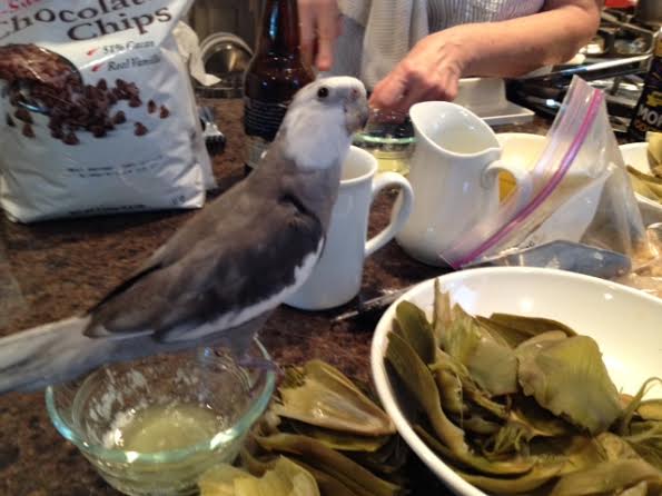 I'm on it - just give me a few minutes and I'll let you know whether it is worth consuming.