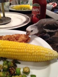 Since I trust her cooking (unlike my Mom's) I'll just dig right in!