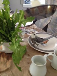 Wow! Grandma, Grandpa, really? This tall houseplant is all MINE?