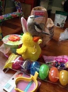 Something about all this seems oh-so-familiar. Hmmm....what could it be?