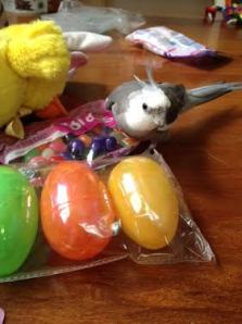 Mom, since this holiday is all about me, could I change my order to something tastier?