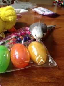 Although these eggs aren't as tasty as the ones my Grandma makes.