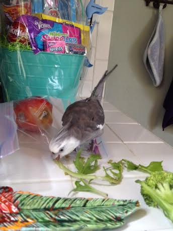 Now that you are completely sure it is dead, you can begin the "consumption phase."