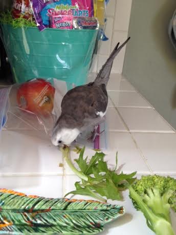 Be sure to consume your favorite parts first while they are the freshest.